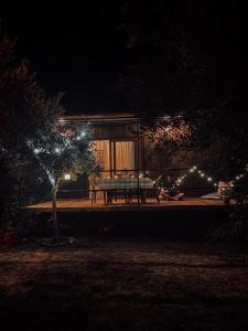 una mesa de picnic frente a una casa por la noche en Söğüt Tinyhouse & Glamping en Marmaris