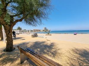 um banco ao lado de uma árvore na praia em L' Escala Casa Mallols Xrm04 em L'Escala