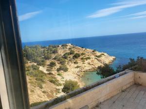 Природа в окрестностях апартаментов/квартиры