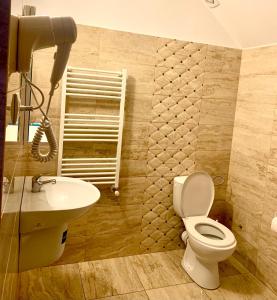 a bathroom with a toilet and a sink at Pensiunea ALAS in Baile Felix +21 photos