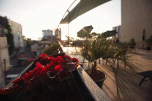 Balkón nebo terasa v ubytování Hotel Irise