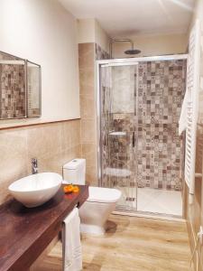 a bathroom with a shower and a toilet and a sink at Casa Rural A Ritmo De Burro in Robledondo