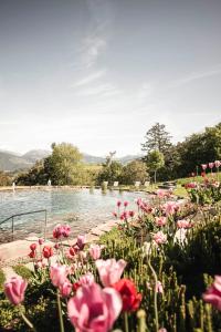 un mazzo di fiori rosa vicino a un corpo d'acqua di Santre dolomythic home a Bressanone