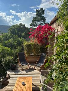 two chairs and a table on a wooden deck with flowers at Hôtel Ambassador Palombaggia in Porto-Vecchio