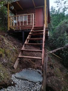 a stairway leading to a cabin with a red door at Glamping entre bosques in La Calera