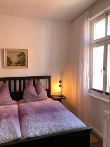 Un dormitorio con una cama con almohadas moradas y una ventana en In der Mühlenstraße en Malchow