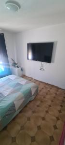 um quarto com uma cama e uma televisão de ecrã plano em Location maison avec piscine privée. em Agde