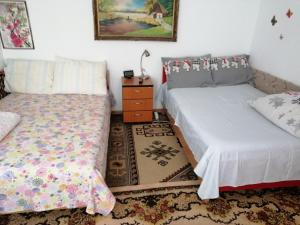 a bedroom with two beds and a night stand at Rustic house in Turnu Măgurele