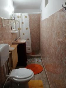 a bathroom with a toilet and a sink and a shower at Rustic house in Turnu Măgurele