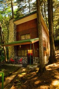 a house in the woods with red chairs in front of it at Cabañas Lunas del Poás 
