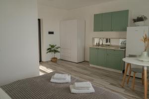 TREND HOUSE Apartments的厨房或小厨房