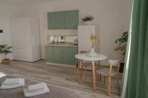 TREND HOUSE Apartments的厨房或小厨房
