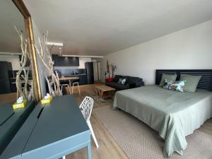 1 dormitorio con 1 cama y sala de estar en Appartement Luxe Ocean View 9403, en Cul de Sac