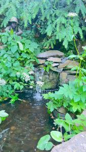 a small pond with a waterfall in a garden at AristocratHomeStay in Vancouver