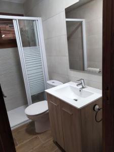 EscalonaにあるCasa Rural Emiliaの洗面台、トイレ、鏡のあるバスルーム