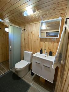 Söğüt Tinyhouse & Glamping في مرماريس: حمام مع مرحاض ومغسلة ودش