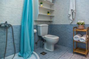 uma casa de banho com um WC e um chuveiro em Dion Mari em Fiolítis