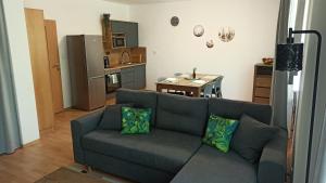 Kuchyň nebo kuchyňský kout v ubytování Apartmány TriMM