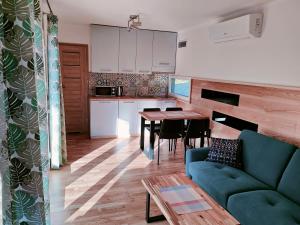 Η κουζίνα ή μικρή κουζίνα στο Kasztanowe Wrota - Garden House