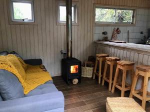 a living room with a stove in a room at Cabañas Truful Truful in Melipeuco