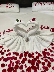 Fotografie z fotogalerie ubytování Aparta Hotel Roma v destinaci Santo Domingo