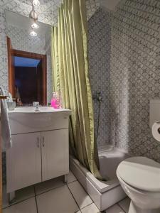 a bathroom with a sink and a toilet and a shower at Apartments Vejo in Korčula +87 photos