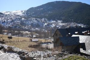 Príroda v okolí apartmánu