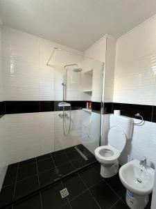 ein Bad mit einer Dusche, einem WC und einem Waschbecken in der Unterkunft Apartment Nest Stolac in Stolac