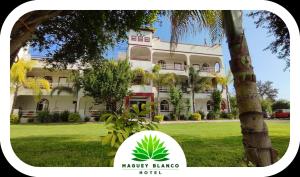 Zahrada ubytování Hotel Maguey blanco