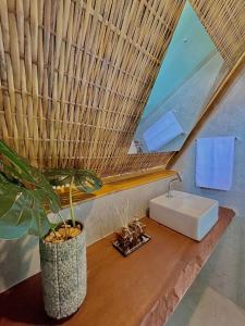 a bathroom with a sink and a plant on a table at Pousada Villa di Luna in São Miguel do Gostoso