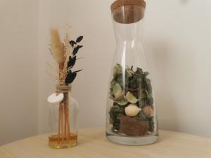 un vase en verre avec des rochers et des plantes sur une table dans l'établissement Ana Paula House, à Aveiro