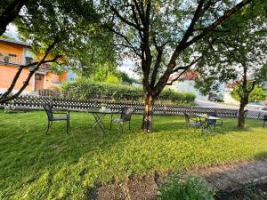 een park met stoelen en een tafel en een boom bij Pension DonauBlick Grein 1 , Spitzfeldstr 1 in Grein