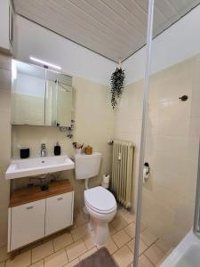 een badkamer met een toilet, een wastafel en een douche bij Traumhaftes, zentrumnahes Studio in Kassel