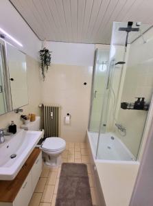 een badkamer met een toilet, een douche en een wastafel bij Traumhaftes, zentrumnahes Studio in Kassel