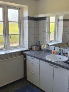 a kitchen with a sink and two windows at Pegasus Bed & Breakfast in Hillerød