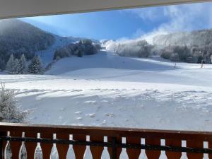 Studio face aux pistes avec balcon Alpe du Grand Serre בחורף