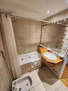 a bathroom with a sink and a toilet and a tub at Mirabeagle Departamentos in Ushuaia