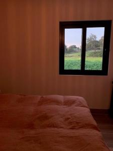 Schlafzimmer mit einem Fenster mit Blick auf ein Feld in der Unterkunft Casa Luz in Guia
