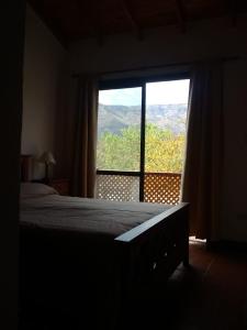 een slaapkamer met een bed en een groot raam bij Complejo los Espinillos de Merlo in Merlo