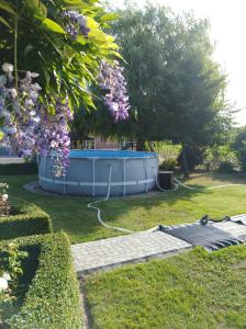 un jardin avec une piscine sur gazon dans l'établissement 't Hooghe Licht Bed & Breakfast, à Zonnebeke