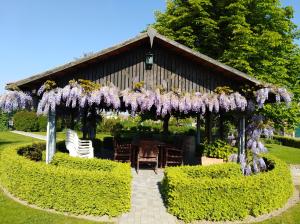 a garden with a pergola with purple flowers at 't Hooghe Licht Bed & Breakfast in Zonnebeke