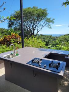 encimera de cocina con fregadero y vistas en Villa Martina Palmgarden en Sámara