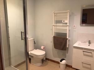 a bathroom with a shower and a toilet and a sink at Chambres avec piscine in Toulouse