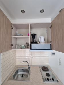 a kitchen with a sink and a counter top at Sissy's Boutique Apartments in Paralia Katerinis