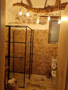a bathroom with a shower and a toilet at Stone House - Πέτρινο Σαλέ in Alíartos