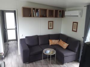 a living room with a couch and a table at Tinyhouse Wemding in Wemding