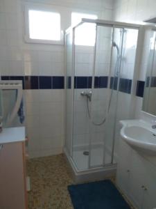 a bathroom with a shower and a sink at La maison d'Ormancey in Mont-Saint-Jean +3 photos