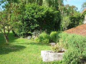 a garden with some plants and trees and grass at La maison d'Ormancey in Mont-Saint-Jean