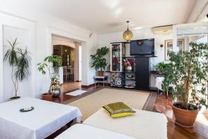 a living room with potted plants and a tv at Villa Pušić in Dubrovnik