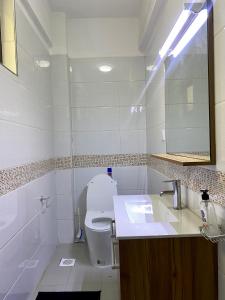 een badkamer met een toilet, een wastafel en een spiegel bij Mid-Century 1 bedroom apartment in Nairobi
